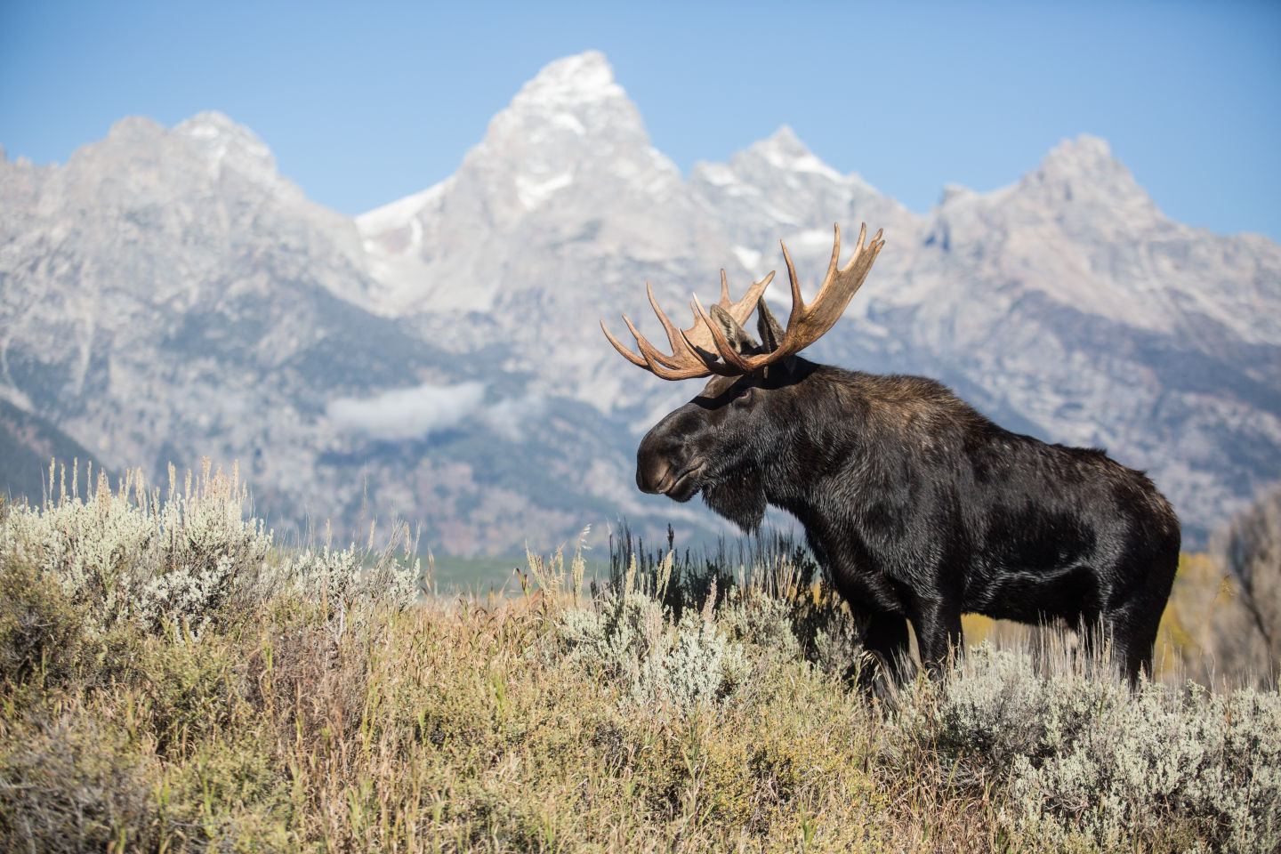 National Park Profile Grand Teton National Park National Park Profile Grand Teton National Park