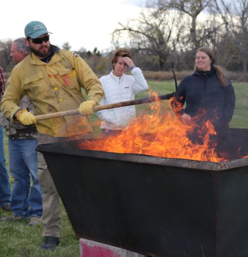 Biochar