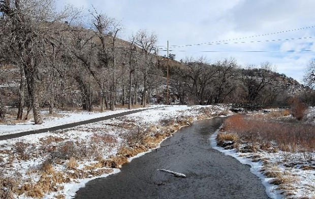 M Hill foundation wants area to remain largely untamed