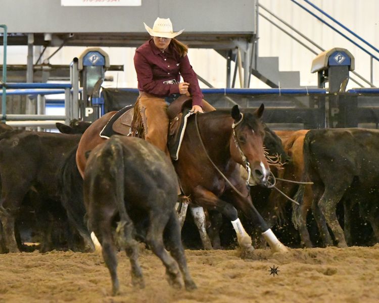 Belle Fourche woman claims two cutting horse national titles Our Northern Hills