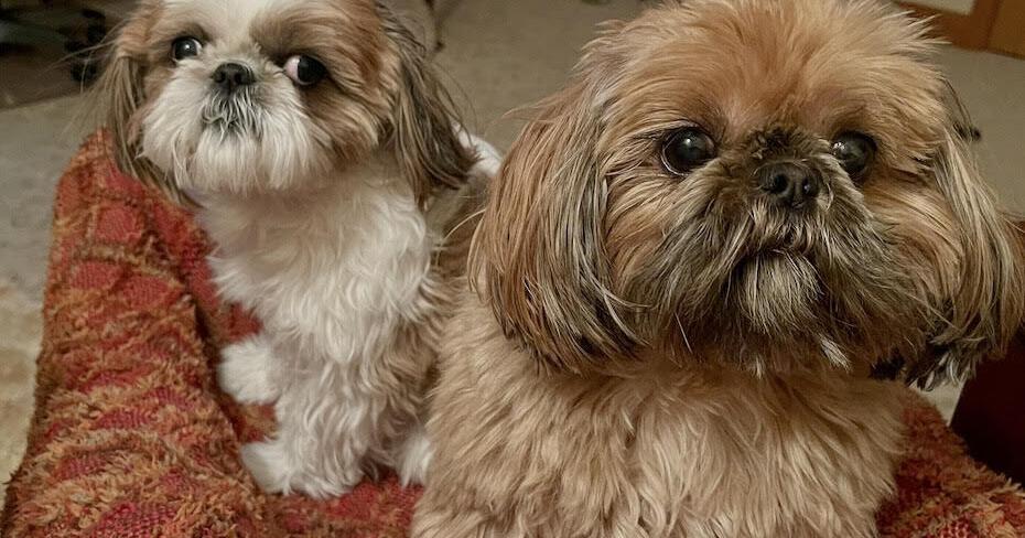 Intimate Connection - Gracie and Zenee.jpg