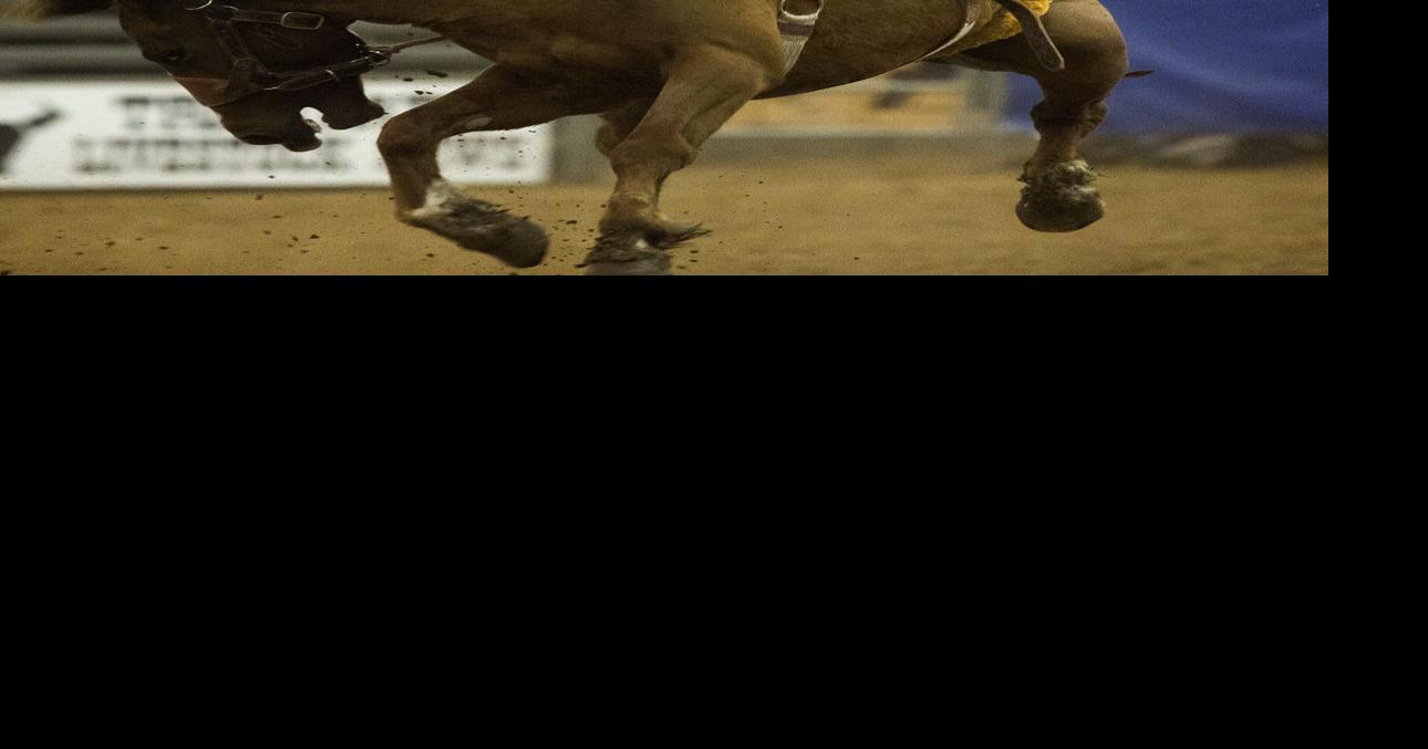 Rodeo: Bronc riders come out for Howard Hunter Sr.