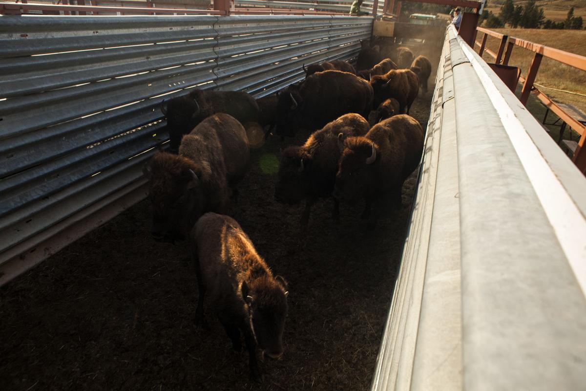 Photos of the week Photos