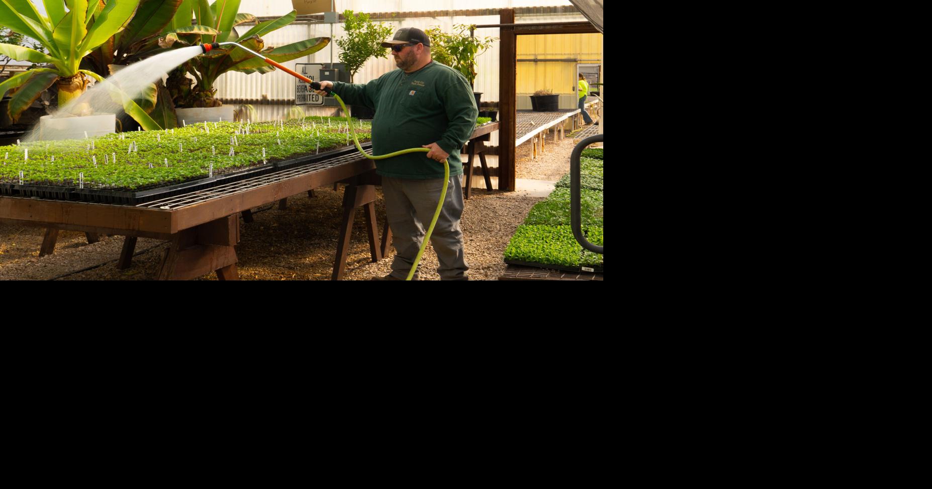Rapid City new greenhouse project approved