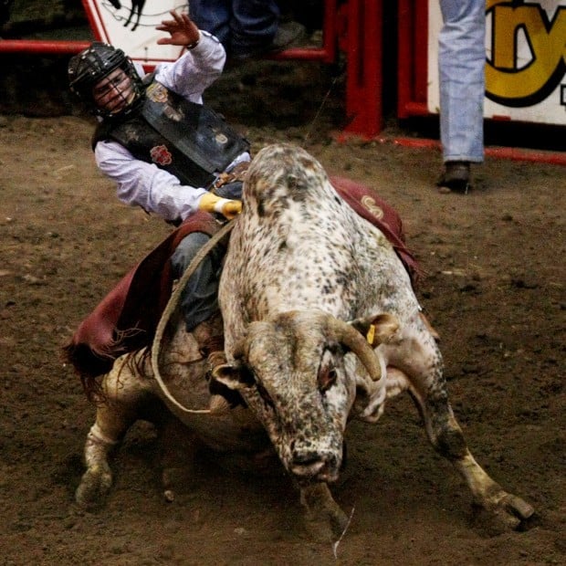 Xtreme Bulls Tour event stokes rodeo excitement Stock Show