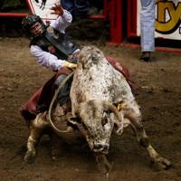 Xtreme Bulls Tour event stokes rodeo excitement