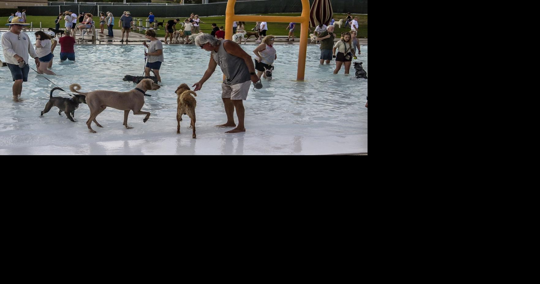 Wags and Waves fundraiser at Jimmy Hilton Sioux Park is Sunday