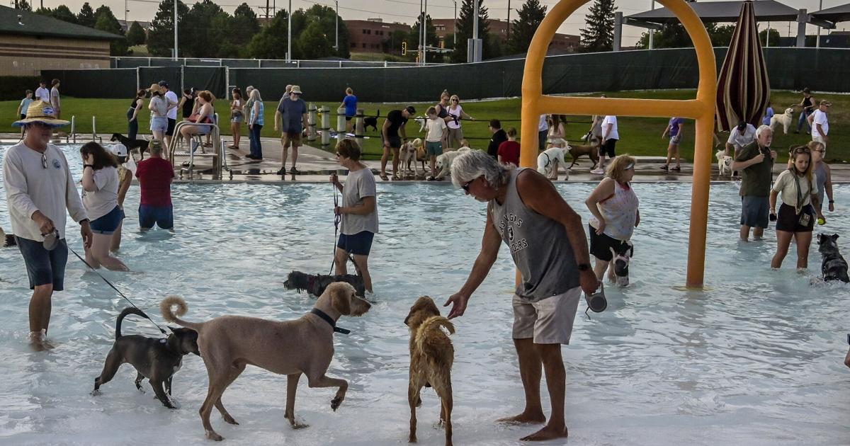 Wags and Waves fundraiser at Jimmy Hilton Sioux Park is Sunday