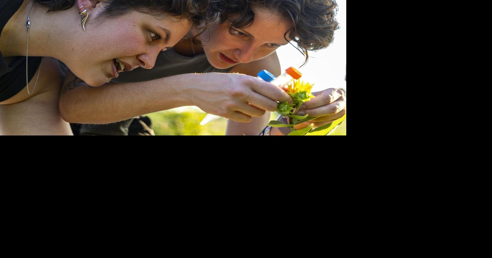 Think spiders are scary? Global experts meet at UNL and say take a closer look.