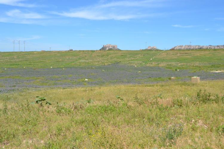 Crow Butte Mine