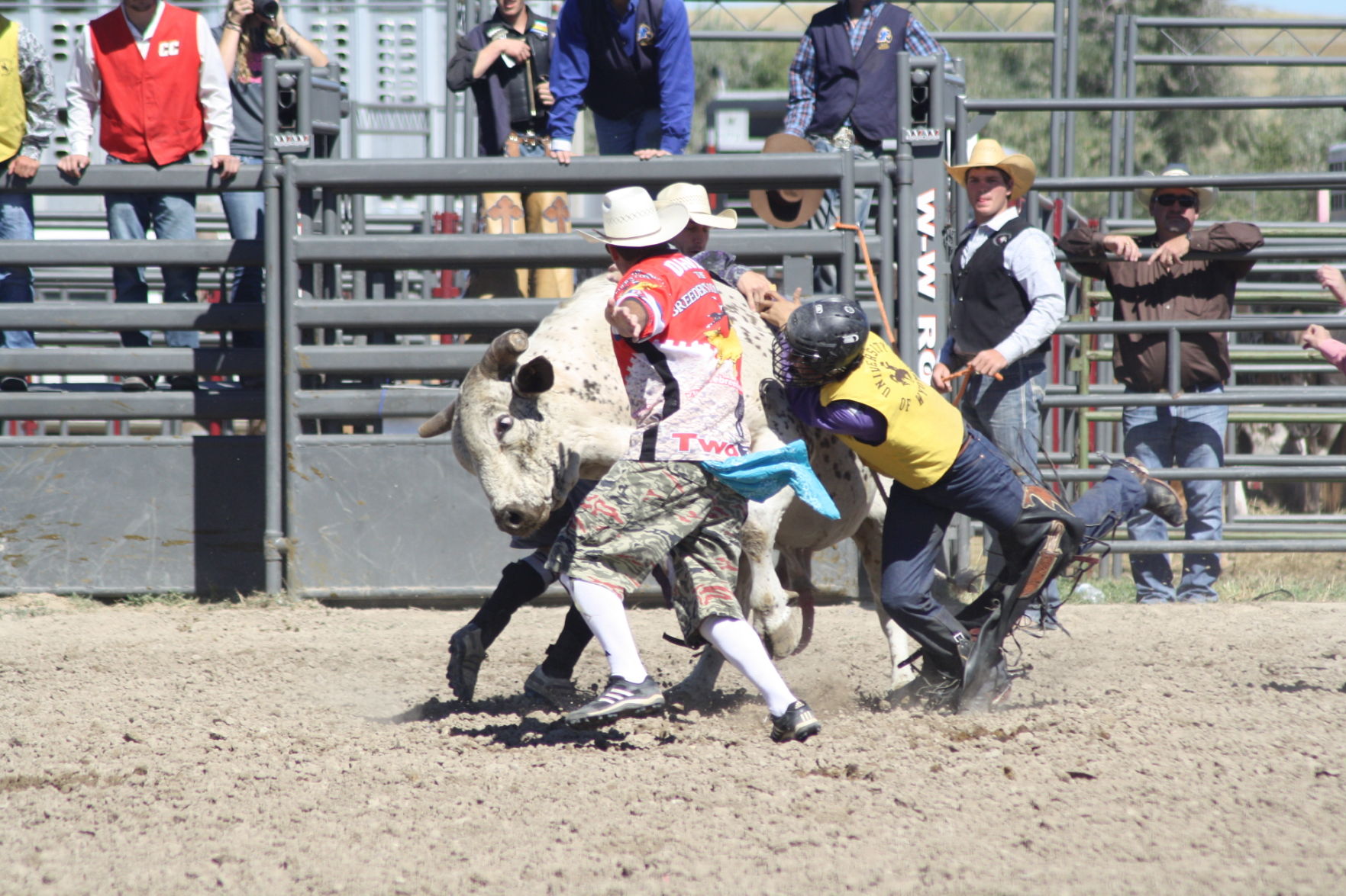 amateur bull riding competition
