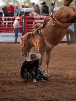 IMG_7611.JPG
