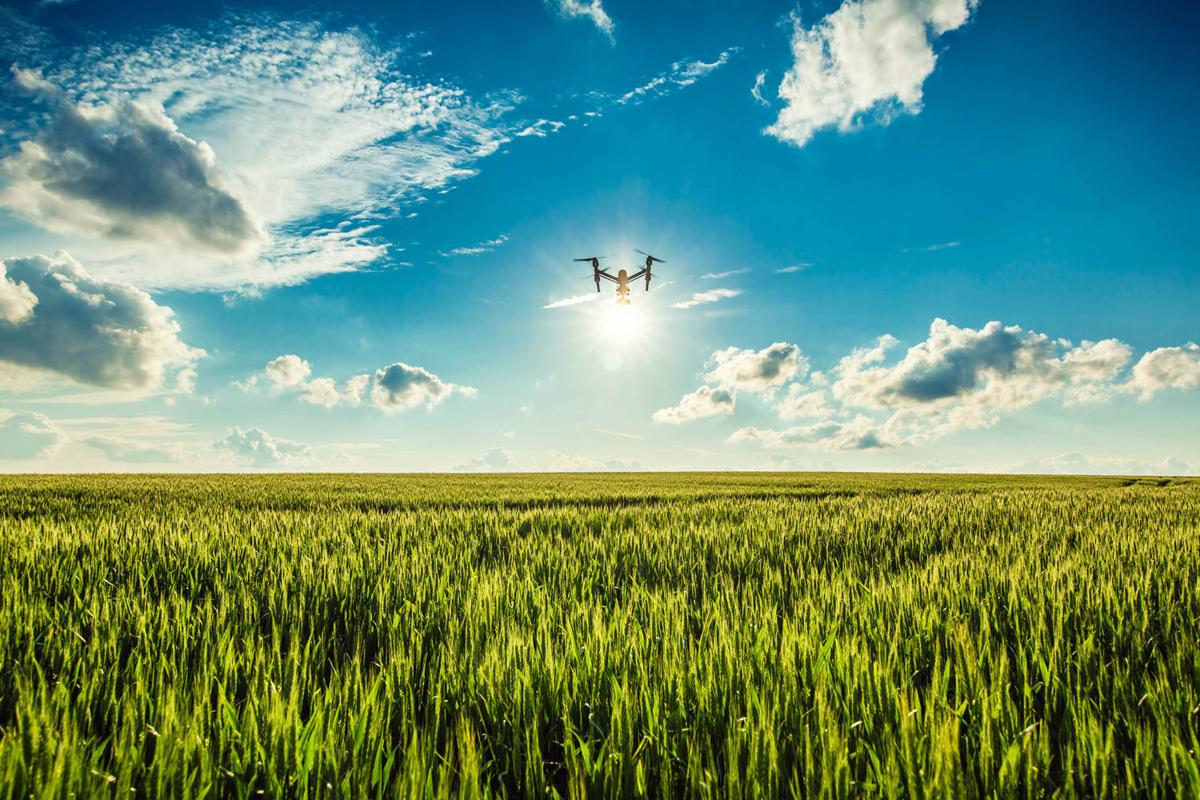 Agriculure