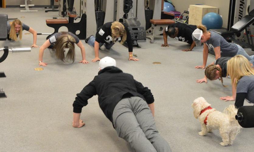 Pushups