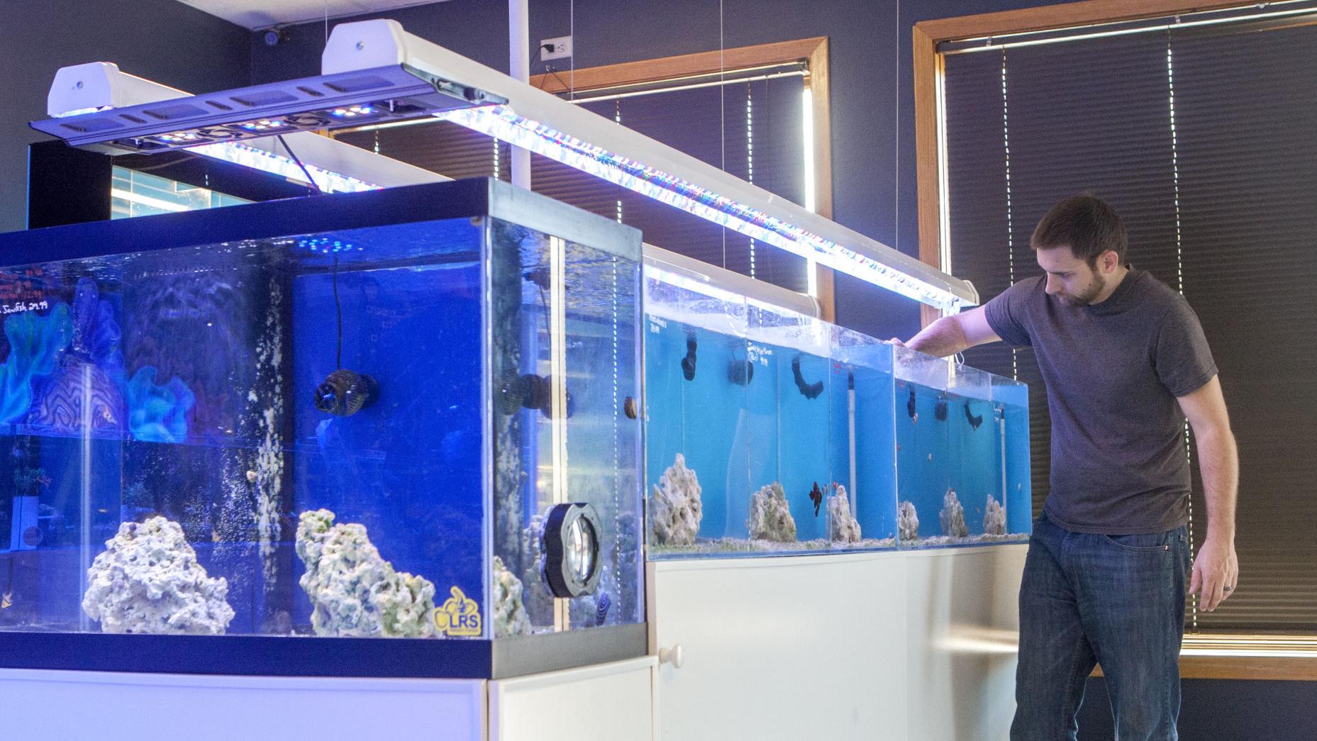 saltwater sea life focus of new store