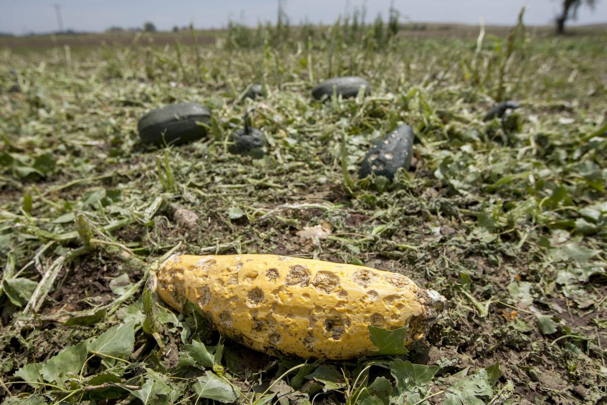 072017-nws-hail 006.JPG