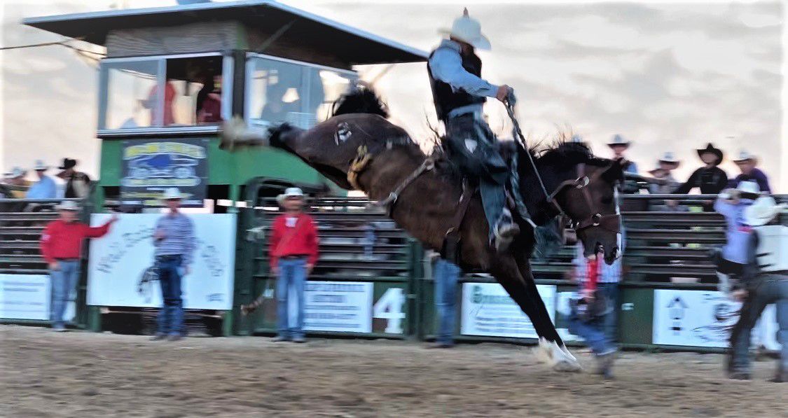 PRCA rodeos return to Wall and Kadoka News