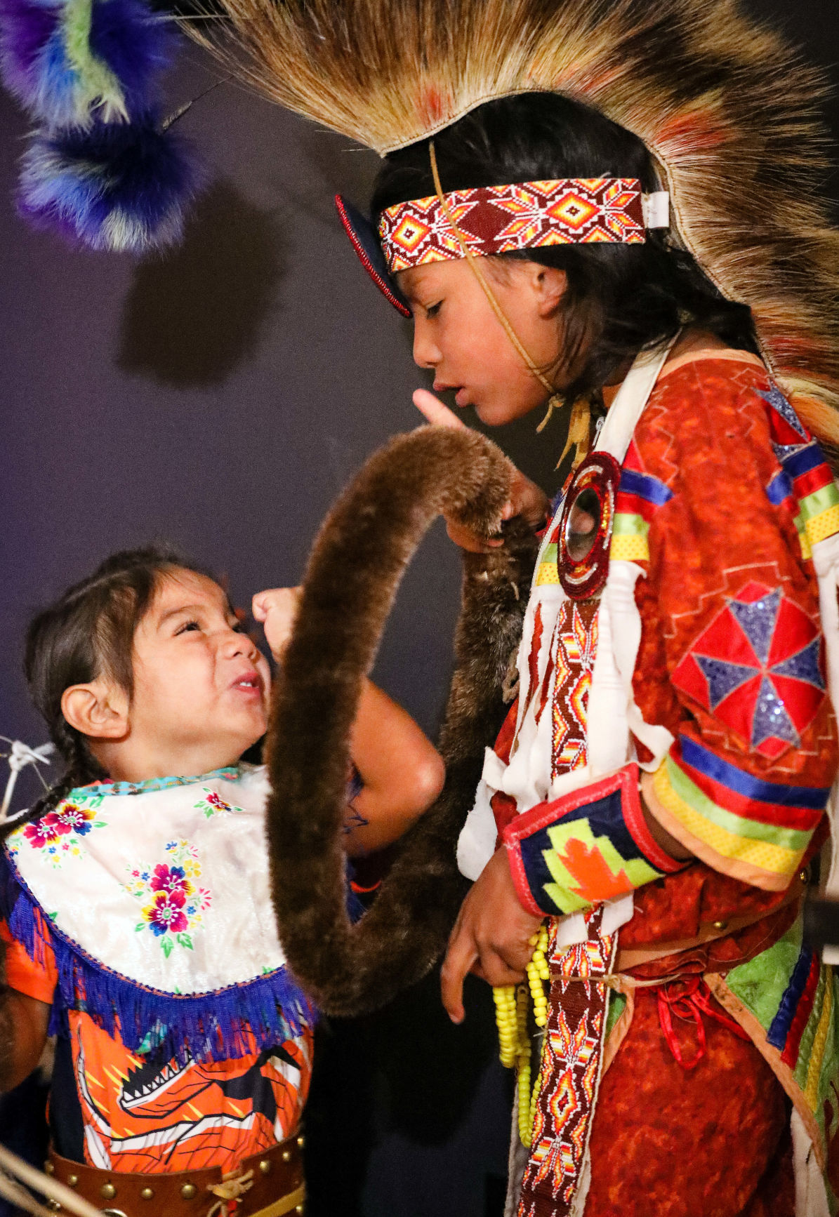 Badlands Bison Release