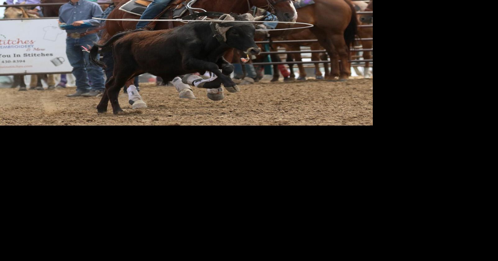 More photos from the SDHSRA Southwest Region rodeo in New Underwood