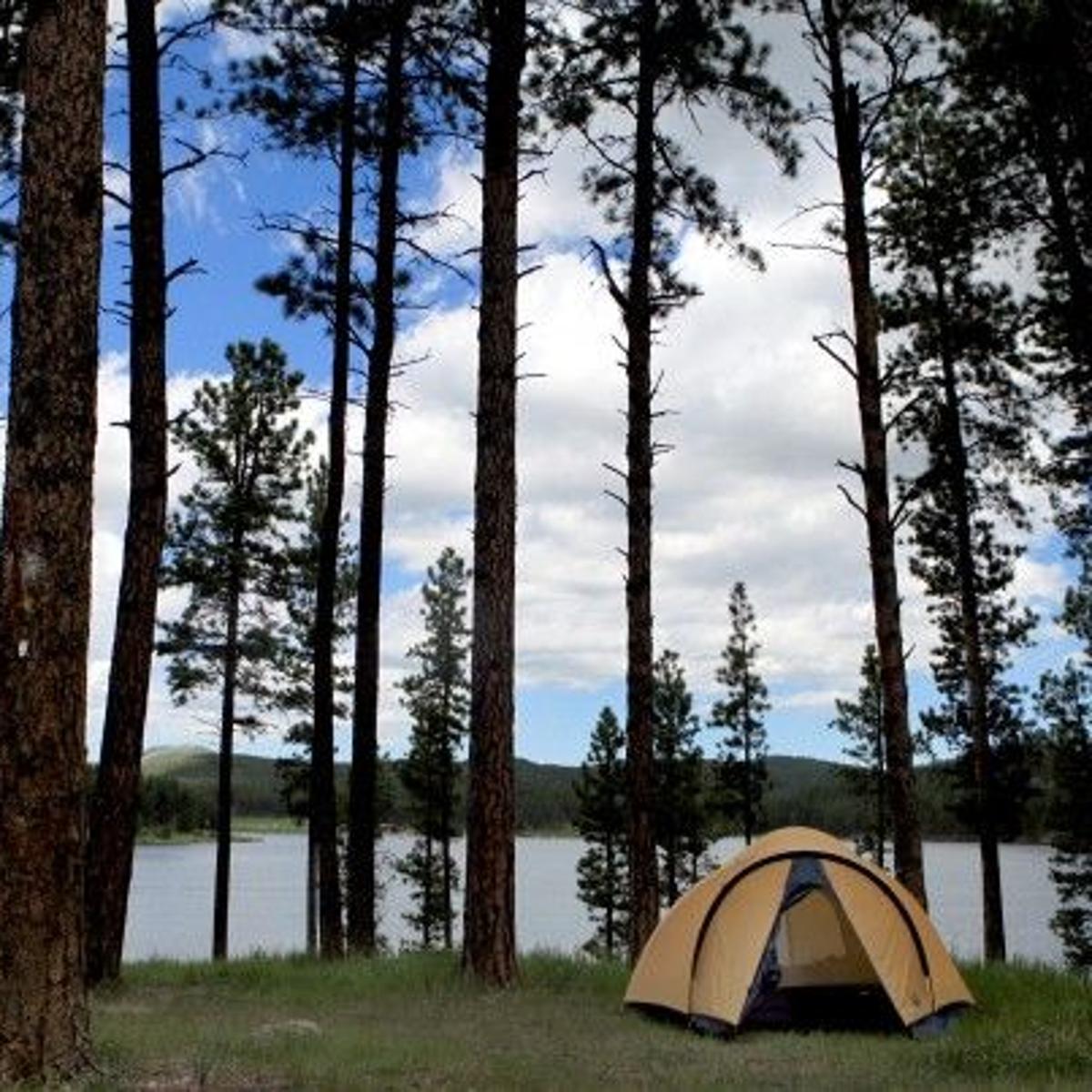 Will It Be Cabins Cars Or Under The Stars Black Hills Camping Offers Chance To Connect With Nature Go Outdoors Rapidcityjournal Com Will It Be Cabins Cars Or Under The Stars Black Hills Camping Offers Chance To Connect With Nature Go Outdoors Rapidcityjournal Com