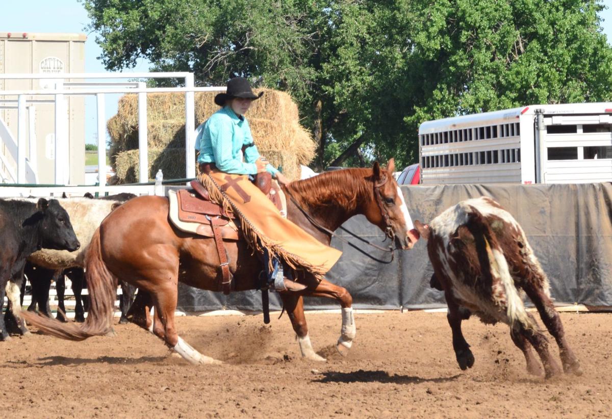 Alaniz gets in good position at state rodeo Sports