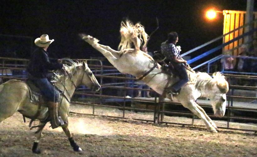 Bronc--good--Jimbo's best_0204.JPG