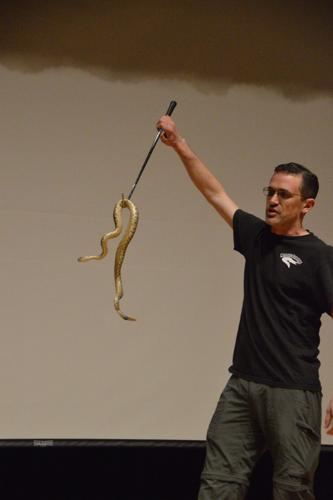 Rattler