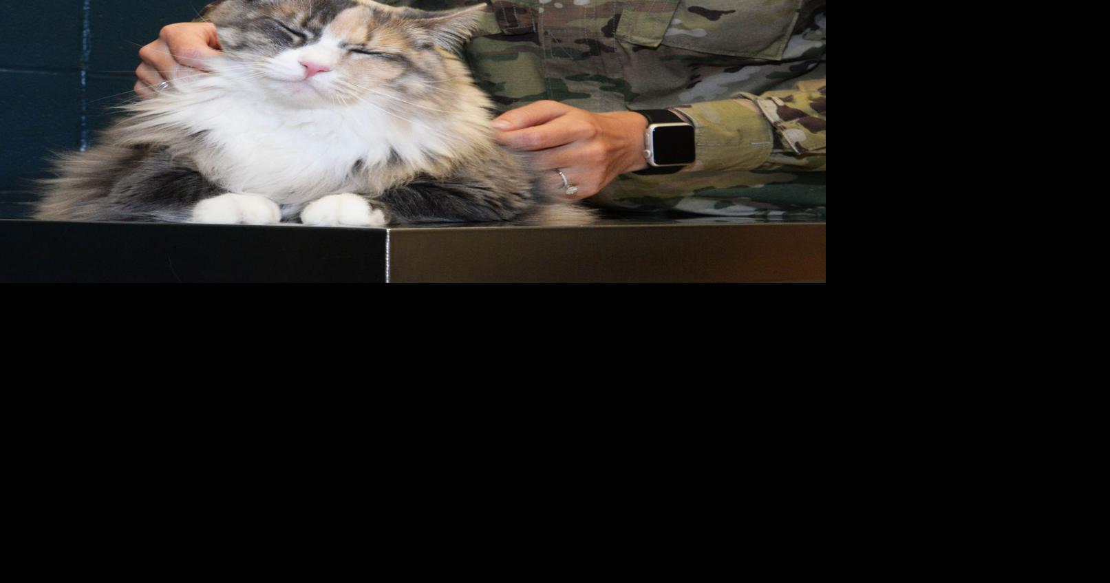 Ellsworth Veterinary Treatment Facility continues to help with mission, community