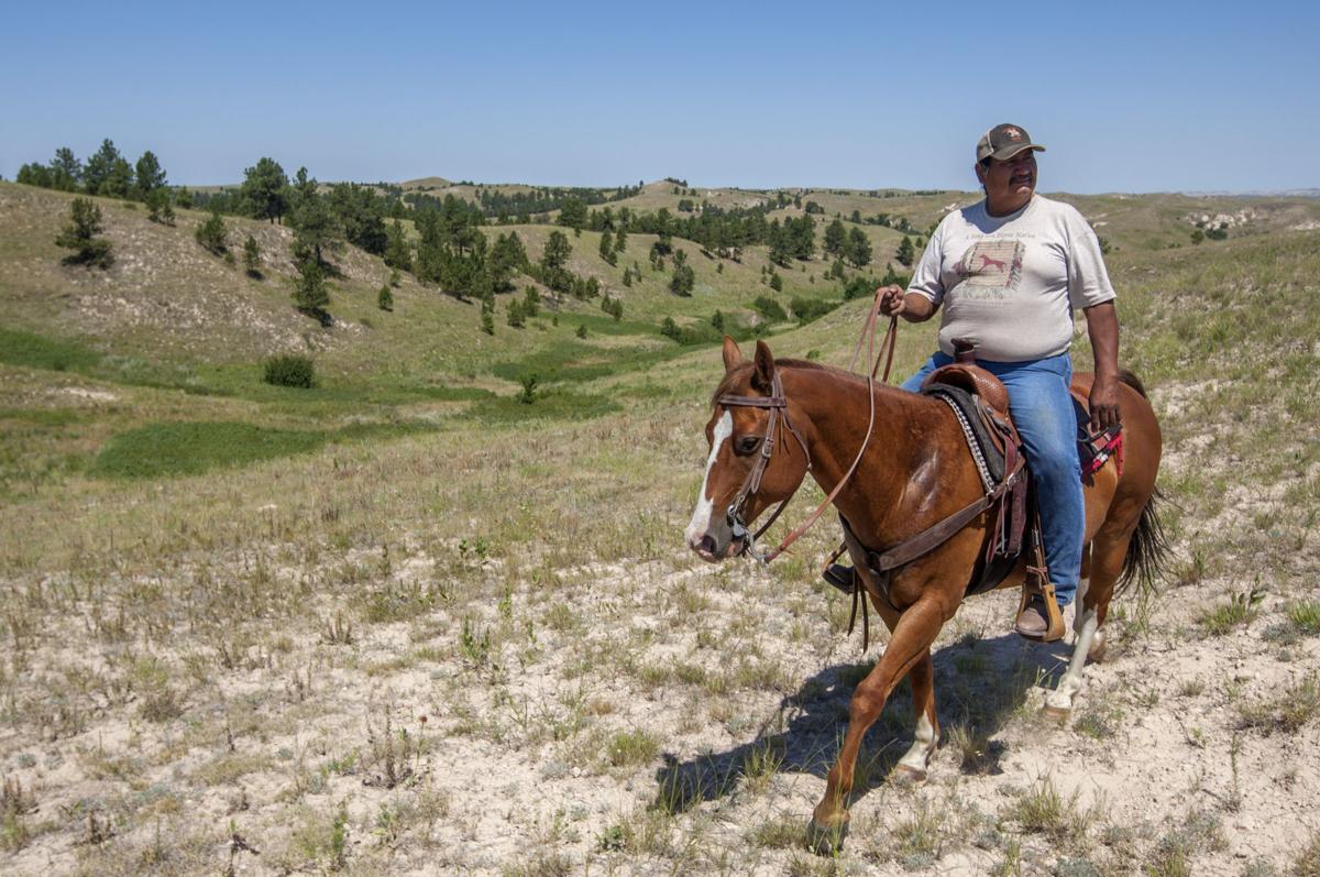 Healing through horseback riding Local