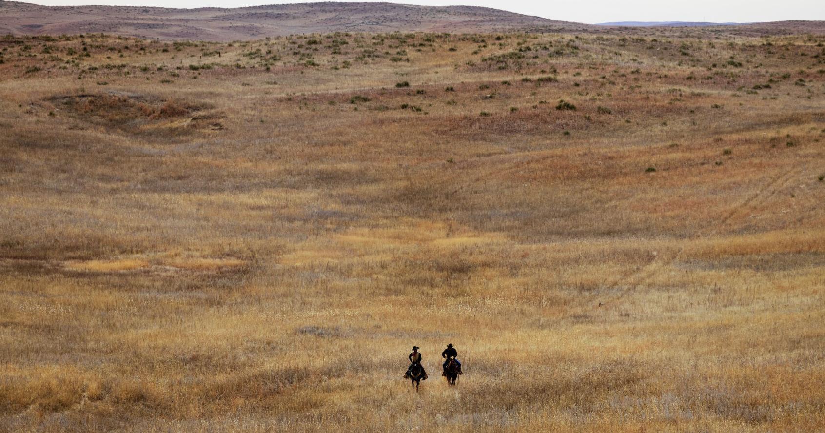 Corporations, investors buying up Nebraska farmland - Vimarsana News