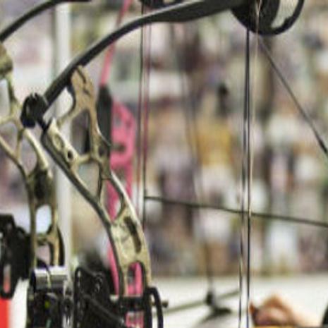 Local Archers On Target At State 3d Meet This Week S Feature