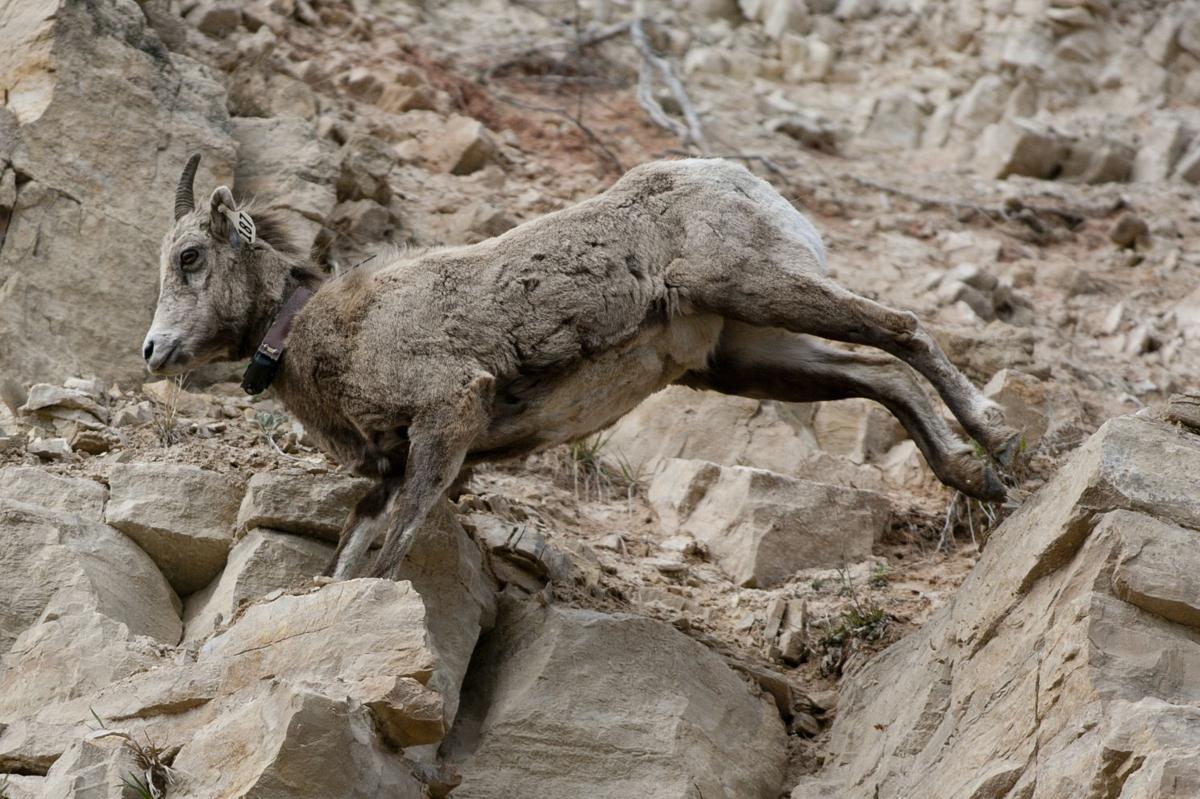 Badlands in dakota hi-res stock photography and images - Page 28 - Alamy, image size:1200x799