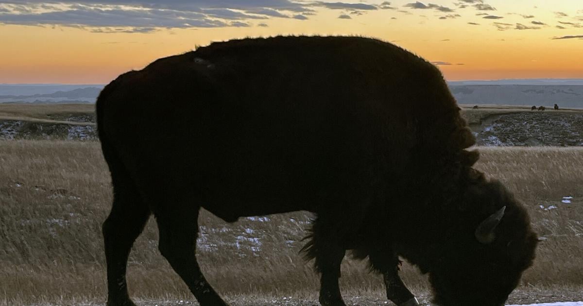 Patty Ressler: We need to protect public lands