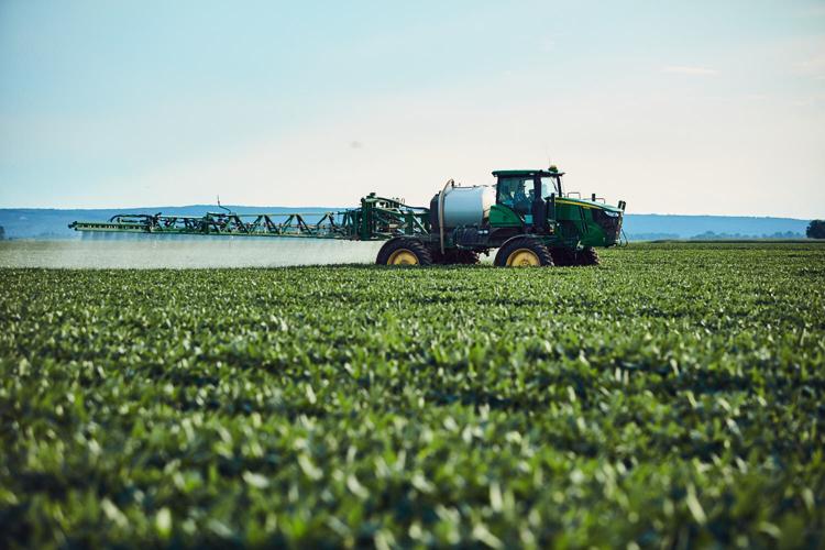 Fungicide application