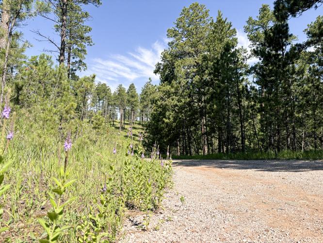 Stratobowl Rim Trail.jpg
