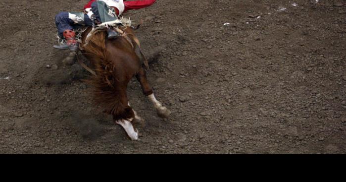 Professional Roughstock Series