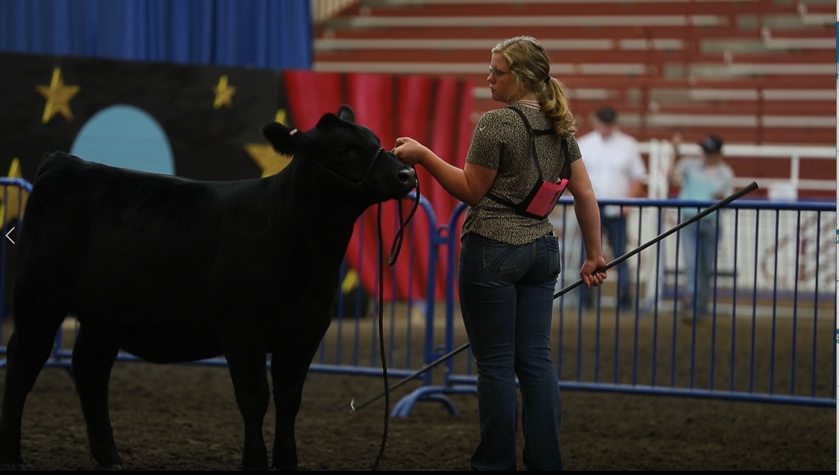 Home of Nebraska State Fair could lose national livestock shows, Fonner CEO says