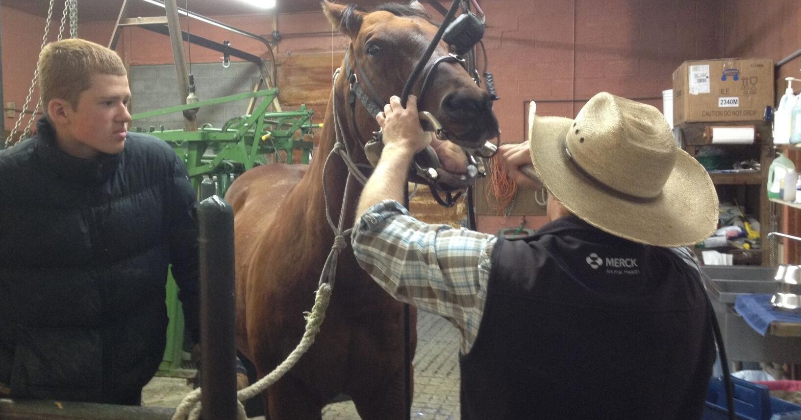 Powell ranch for troubled teens faces forced labor lawsuit - Vimarsana News