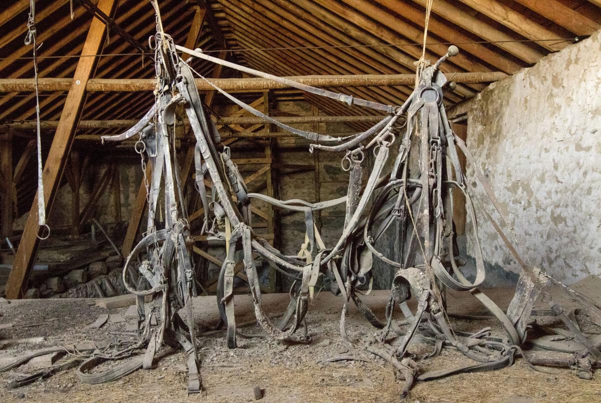 Barn near St. Onge stands as a monument to South Dakota history Local