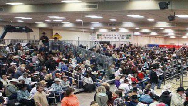 2019 Black Hills Stock Show Schedule Of Events Local