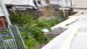 Plant Protector Shields Garden From Hail Heat Lifestyles Rapidcityjournal Com