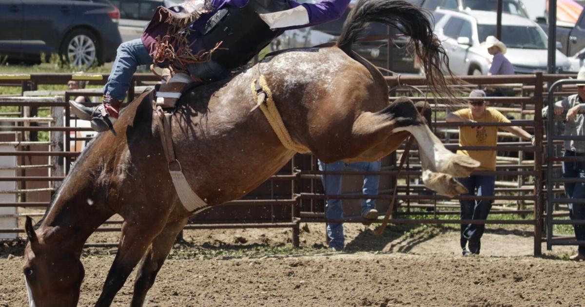 Sdsu Rodeo South Dakota High School State Rodeo Finals recap