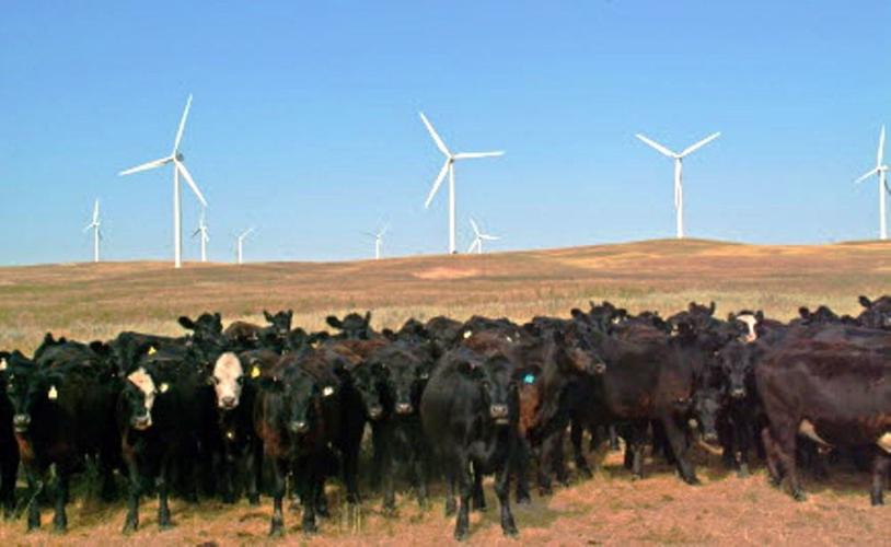 windmills.jpg