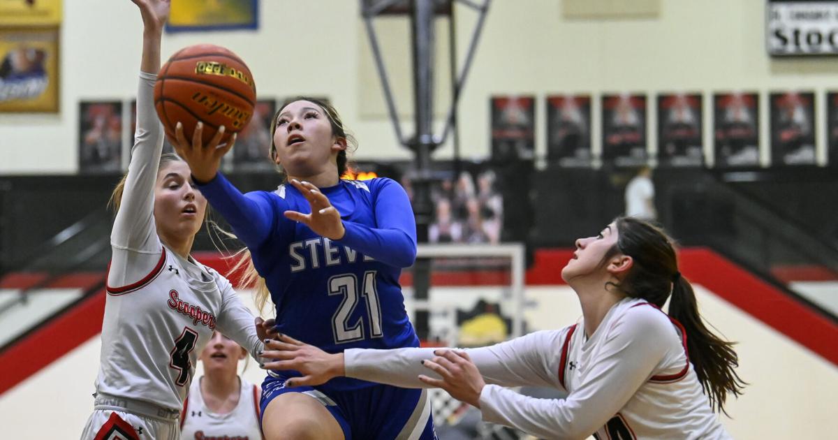 Raiders sweep Sturgis Brown in Friday doubleheader