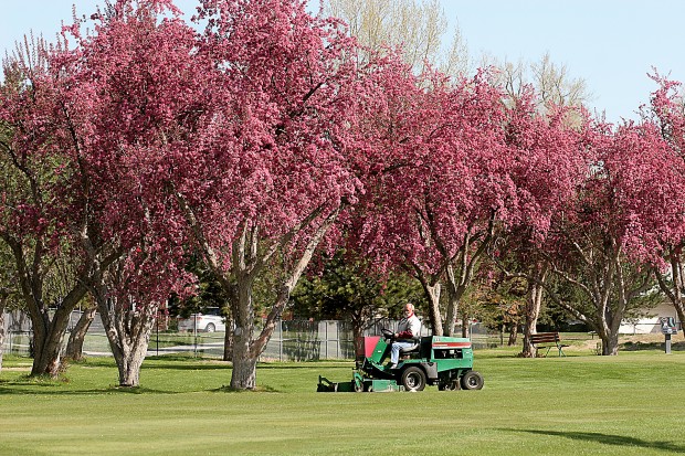 City golf course getting a facelift; Meadowbrook will see major changes  this summer