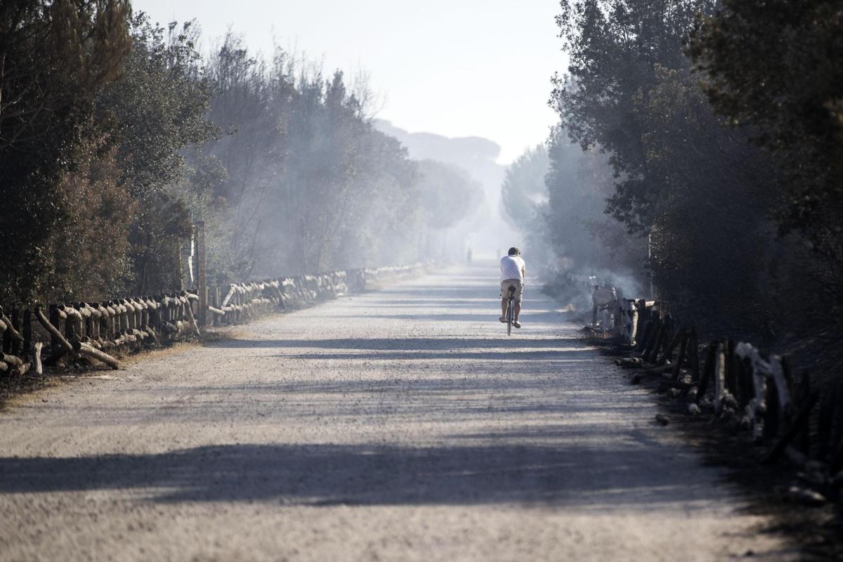 Italy Wildfires
