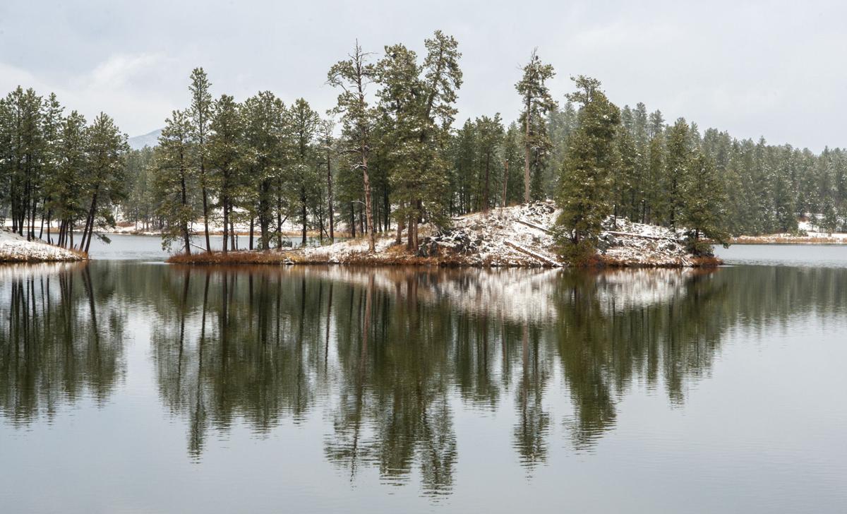 PHOTOS Snow scenes from Custer State Park Photos