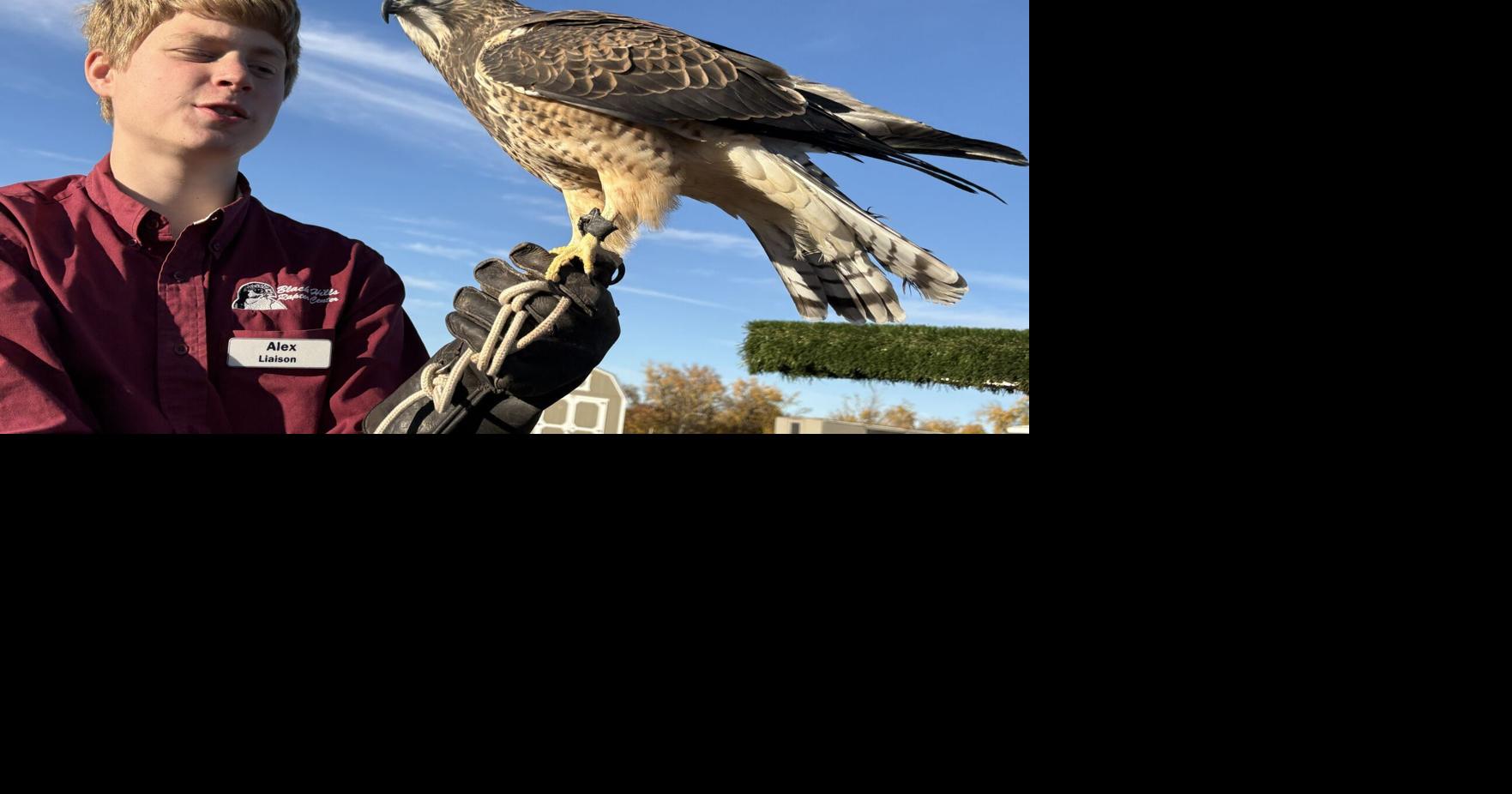 PHOTOS: Black Hills Raptor Center's 'Owl-o-Ween' event