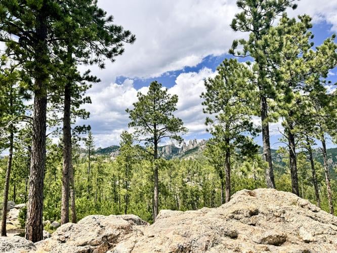 Custer State Park.jpg