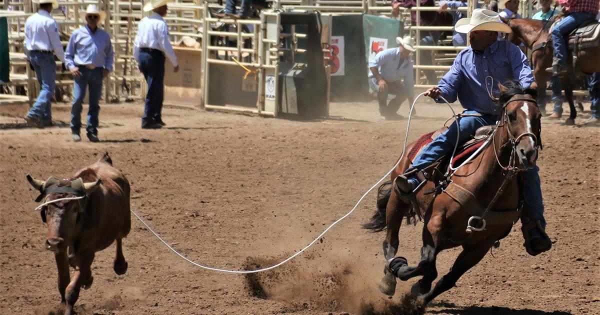 Steer ropers take on Deadwood for stand alone event
